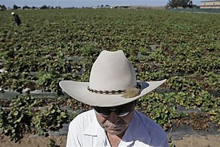 U.S.: Hispanic Farmers Seek Redress For Years Of Bias