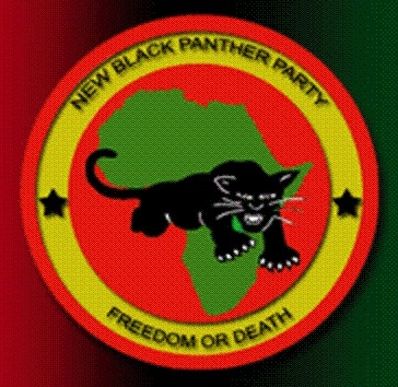BLACK PANTHERS FIRE BACK
