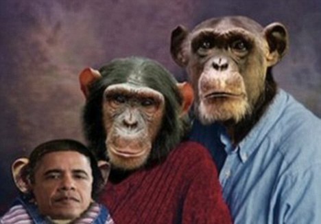 CA GOP Member Censured Over Obama Chimp 