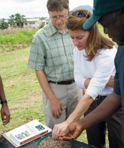  Gates Foundation Spends $1.7B On Farming In Africa